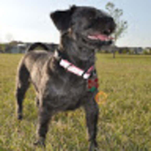 Meet your Posher, Robbin - Picture 1 of 1